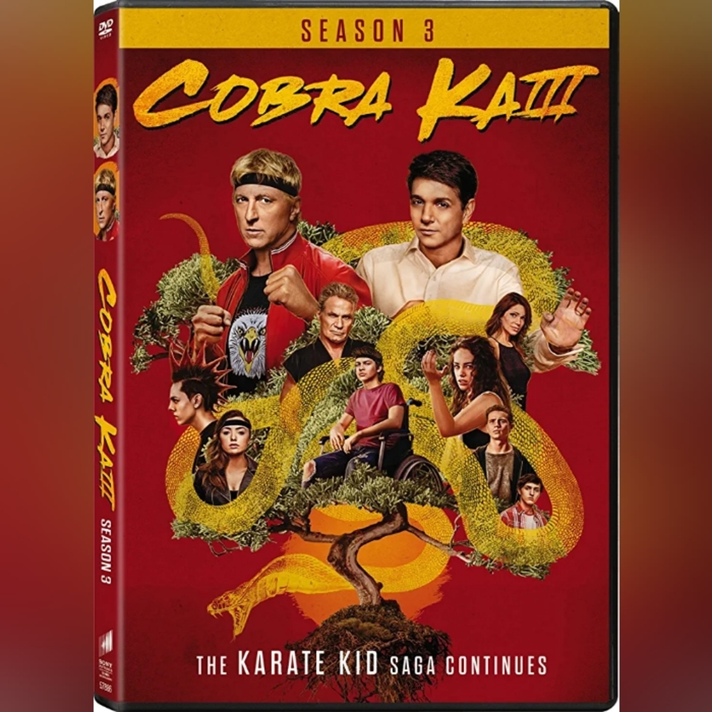Cobra kai season 3